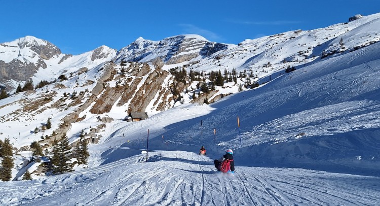 Auf%20der%20Schlittelpiste%20-%20fahren%20lassen