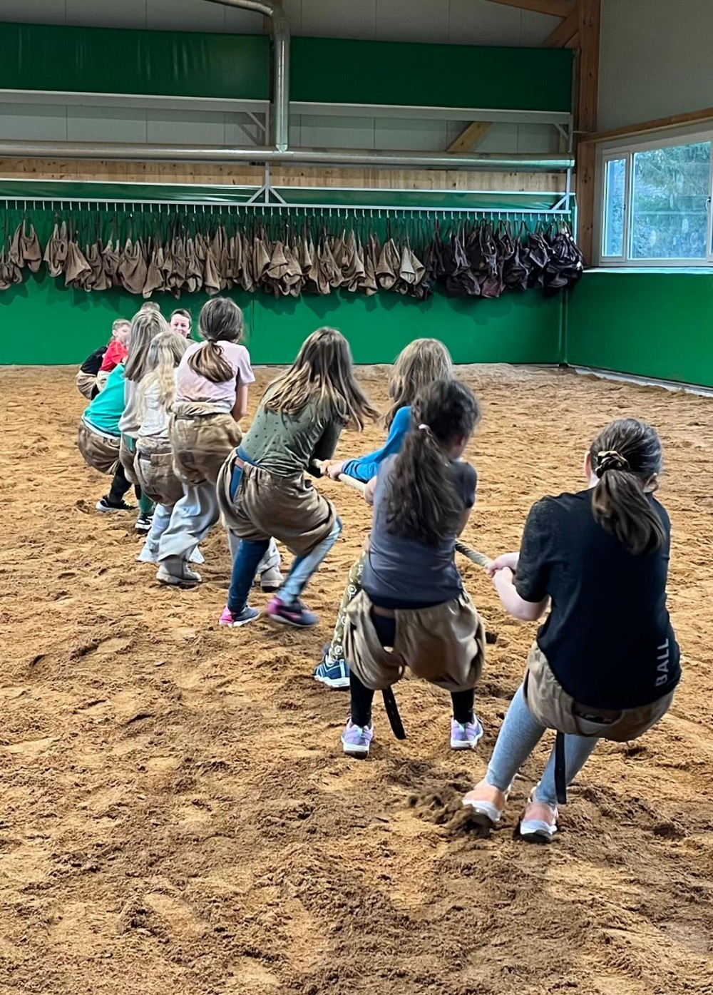 Bild%201_Schwingen