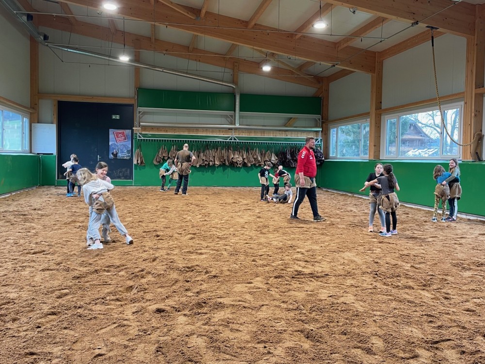 Bild%202_Schwingen