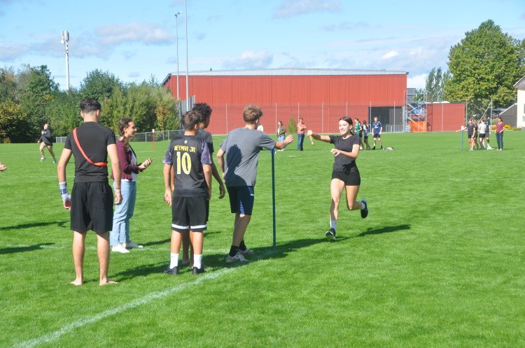 Bild5