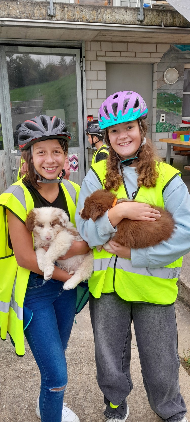 Klasse%201.1%20-%20Hunde%20streicheln%20%282%29